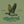 Mallard Junky - Poly-Rich T-Shirt