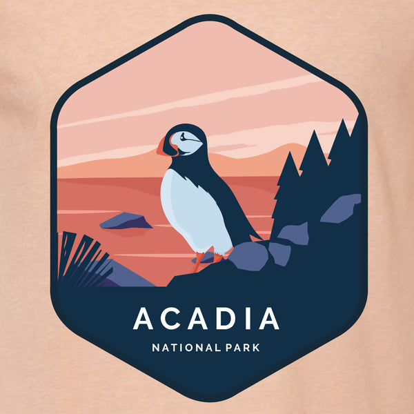 NATIONAL PARKS ACADIA - 15001