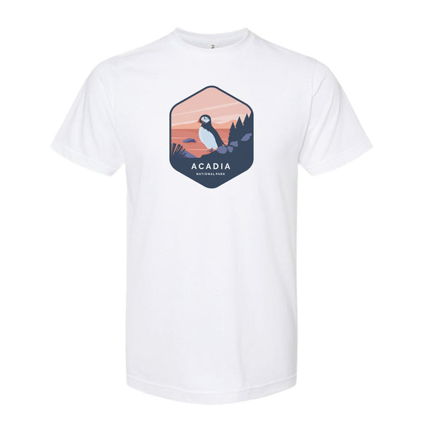NATIONAL PARKS ACADIA - 15001